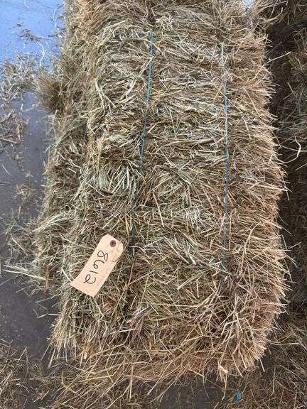 6 1st Grass