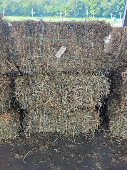 10 1st Alfalfa Orchard Timothy