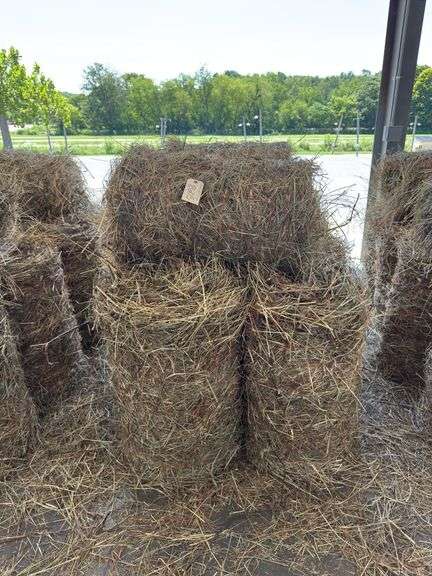 10 Mini Round Bales 1st Mix (20"x28")