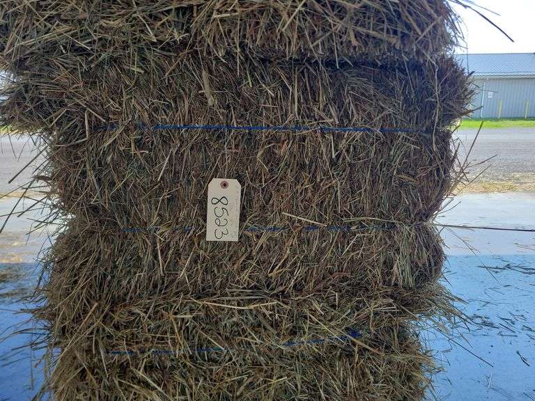 15 1st (15%) Clover Alfalfa & (85%) Timothy Orchard Grass - Never Wet