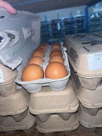 3 Doz Medium Brown Eating Eggs