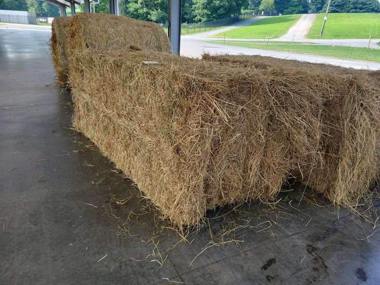 1 Large Square 1st Grass (3x3)