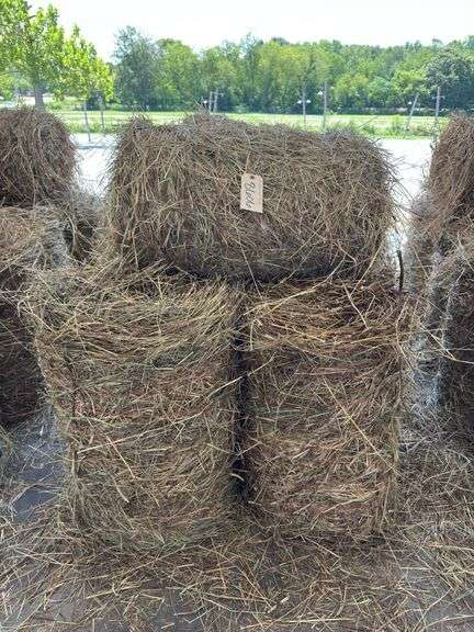 10 Mini Round Bales 1st Mix (20"x28")