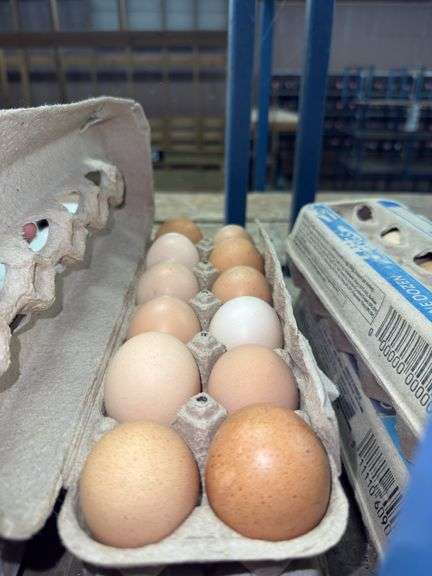 2 Doz Large Brown Eating Eggs