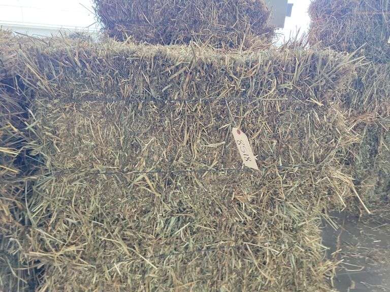 13 1st Alfalfa Timothy