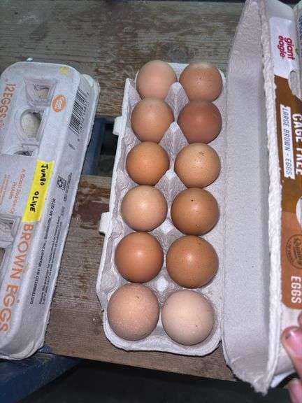 1 Doz Super Jumbo Brown Eating Eggs