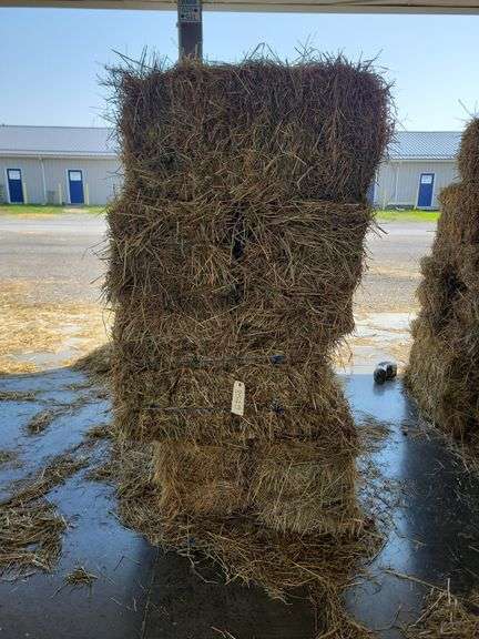 15 1st (15%) Clover Alfalfa & (85%) Timothy Orchard Grass - Never Wet