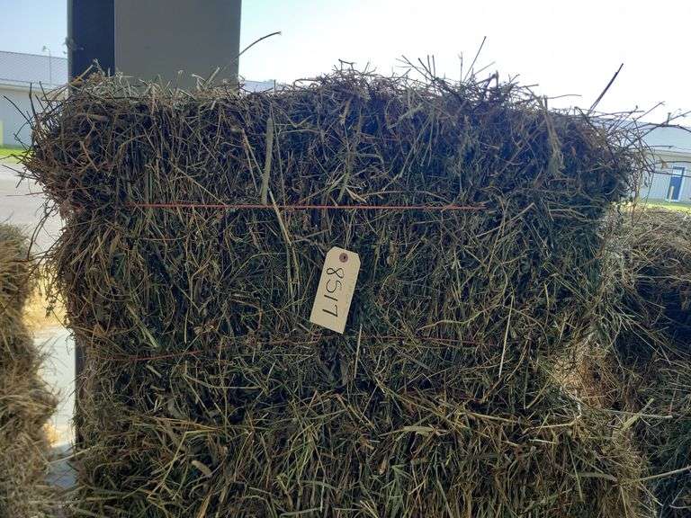 7 1st Alfalfa Orchard Timothy