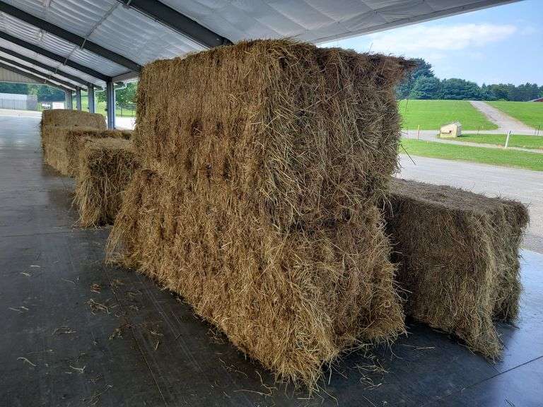 2 Large Squares 1st Grass (3x3)