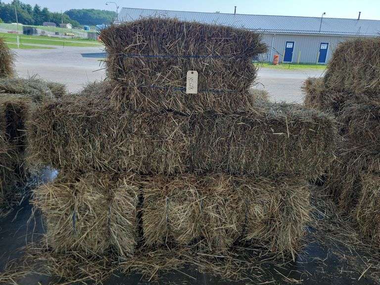 15 1st (15%) Clover Alfalfa & (85%) Timothy Orchard Grass - Never Wet