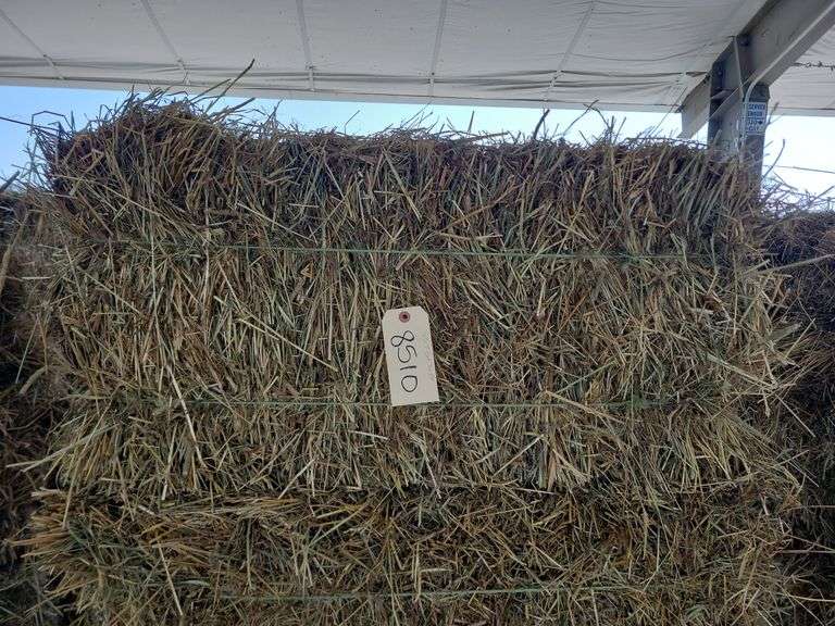 20 1st Orchard Grass Timothy Mix