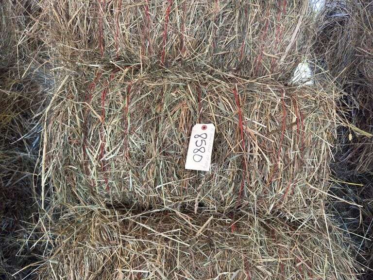 15 Mini Round Bales 1st Mix (28"x20")