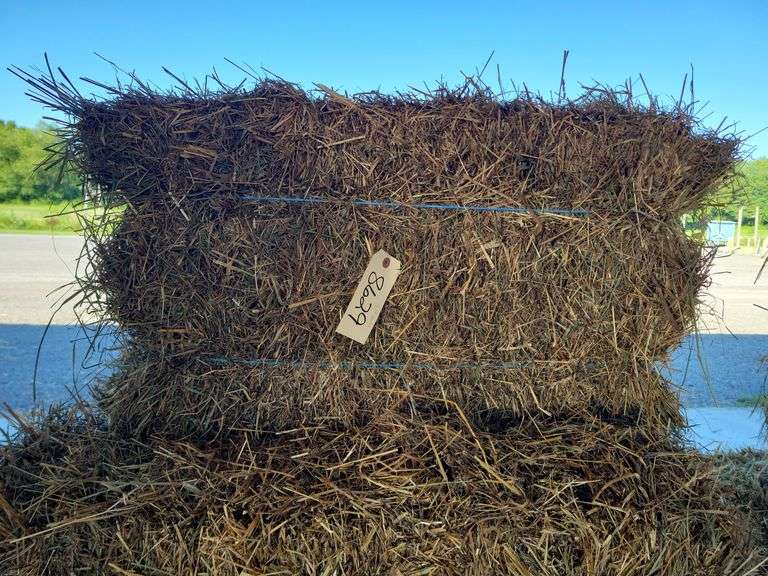 9 1st Grass