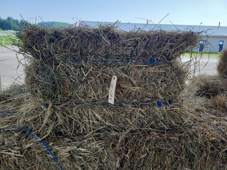 15 1st (15%) Clover Alfalfa & (85%) Timothy Orchard Grass - Never Wet