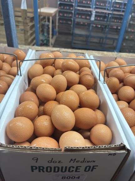 9 Doz Medium Brown Eating Eggs