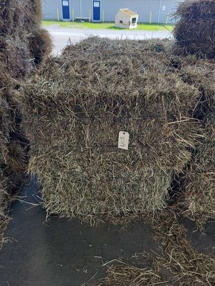 12 1st Alfalfa Timothy