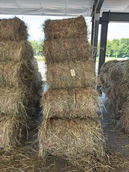 15 Mini Round Bales 1st Mix (28"x20")