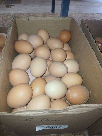 6 Doz Large Brown Eating Eggs