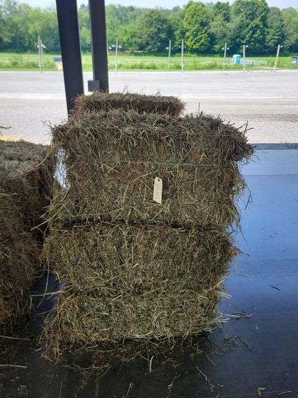 6 1st Alfalfa Orchard Timothy