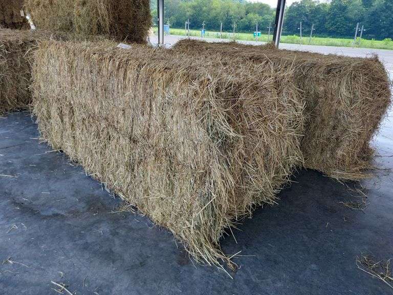 1 Large Square 1st Grass (3x3)