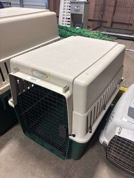 New Green & White Pet Taxi