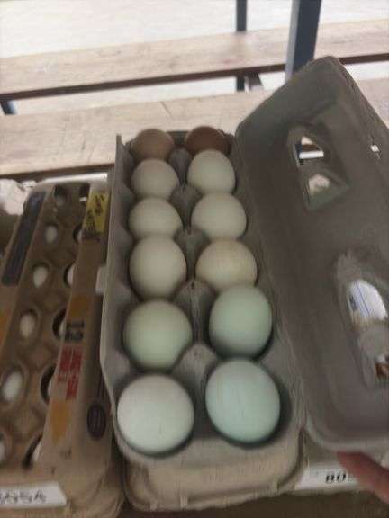 3 Doz Eating Eggs - 1 Jumbo, 1 Xlarge & 1 Large - Assorted Colors