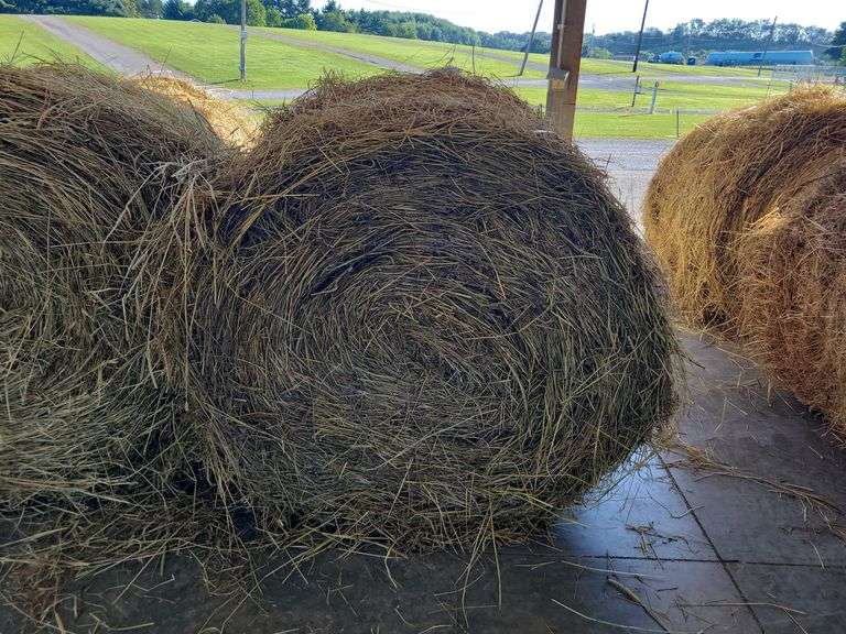 2 Round Bales 1st Mix Grass (4x4) Stored inside (2024)