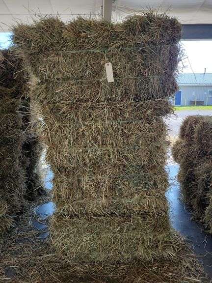 20 1st Orchard Grass Timothy Mix