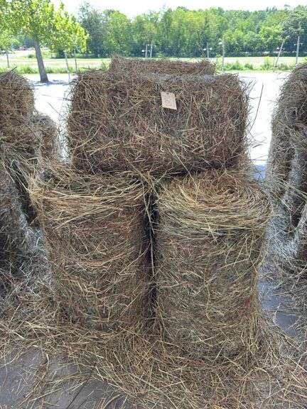 10 Mini Round Bales 1st Mix (20"x28")