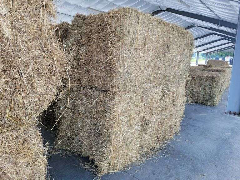 2 Large Squares 1st Grass (3x3)