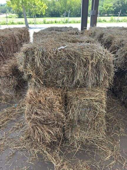 10 1st Grass