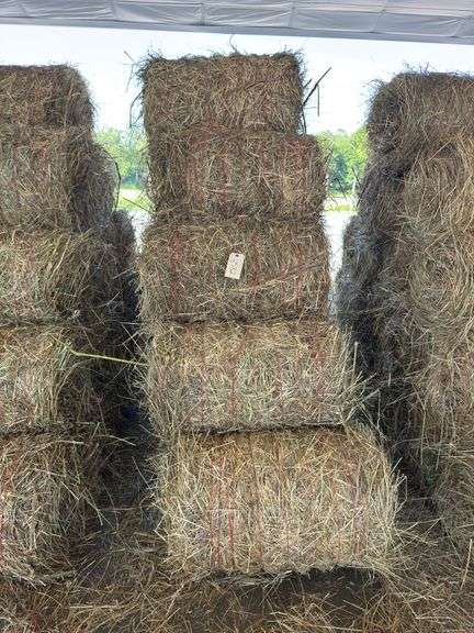 15 Mini Round Bales 1st Mix (28"x20")