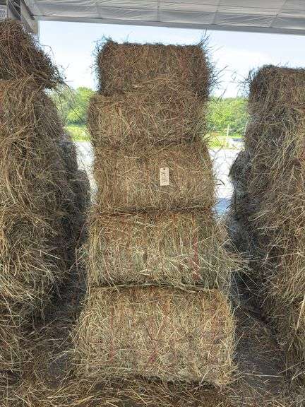 15 Mini Round Bales 1st Mix (28"x20")