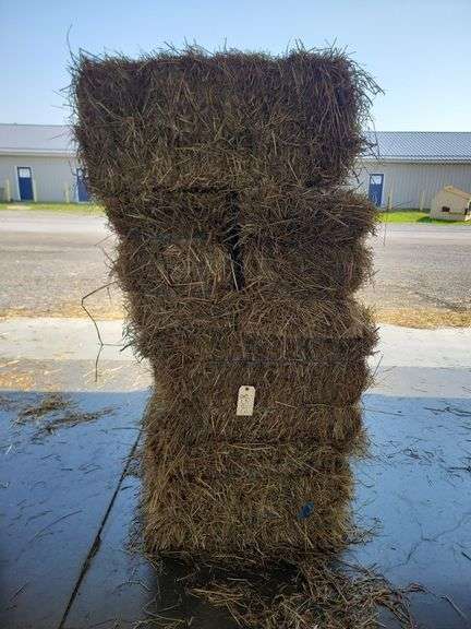 15 1st (15%) Clover Alfalfa & (85%) Timothy Orchard Grass - Never Wet
