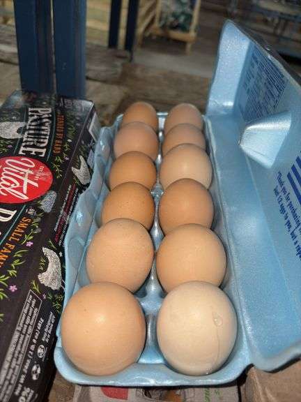 2 Doz Brown Eating Eggs