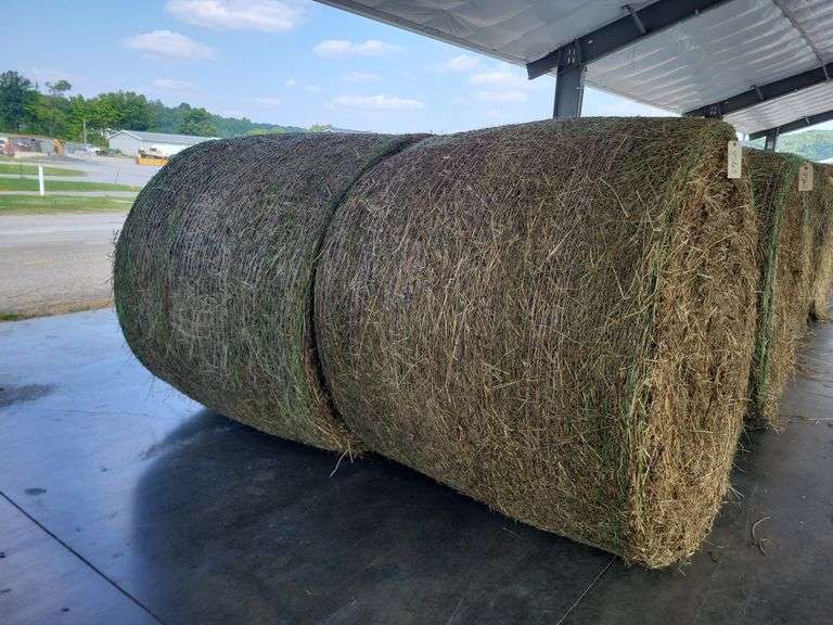 2 Round Bales 1st Alfalfa Timothy (4x5)