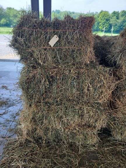16 1st Alfalfa Orchard Timothy