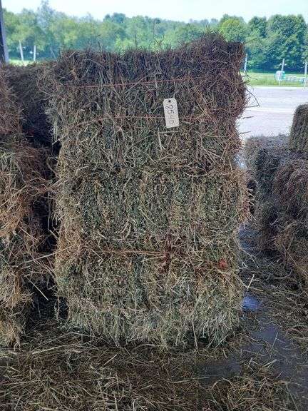 16 1st Alfalfa Orchard Timothy