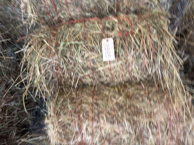 15 Mini Round Bales 1st Mix (28"x20")