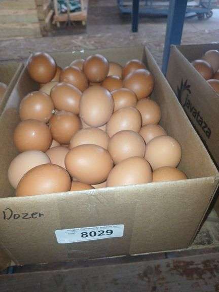 6 Doz Large Brown Eating Eggs