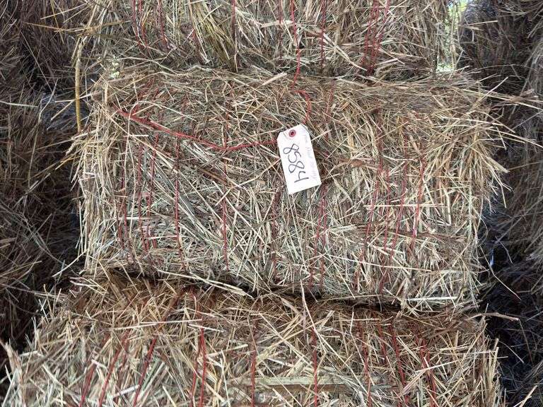 15 Mini Round Bales 1st Mix (28"x20")