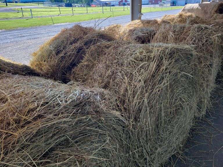 2 Round Bales 1st Mix Grass (4x4) Stored inside (2024)