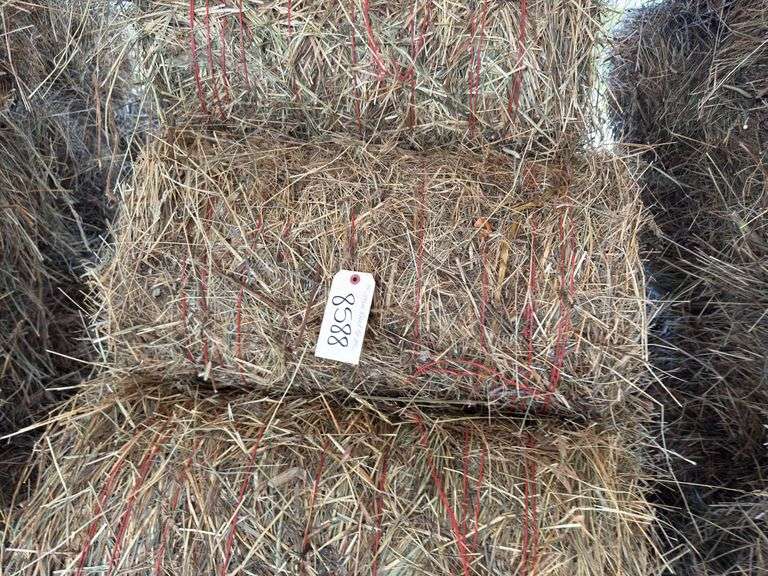 15 Mini Round Bales 1st Mix (28"x20")