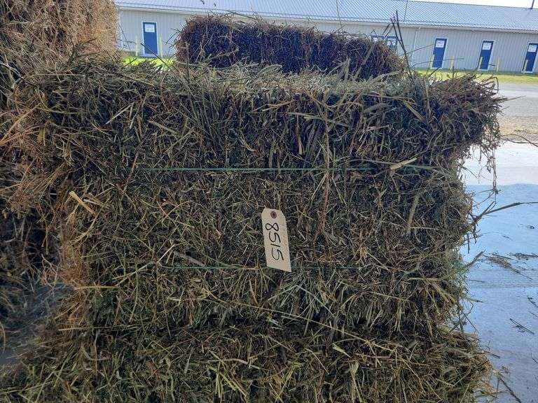 7 1st Alfalfa Orchard Timothy