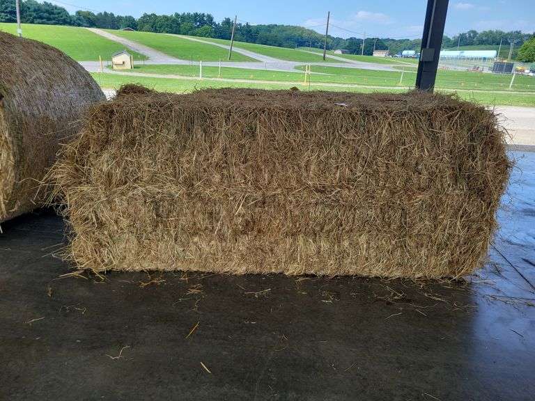 1 Large Square 1st Grass (3x3)