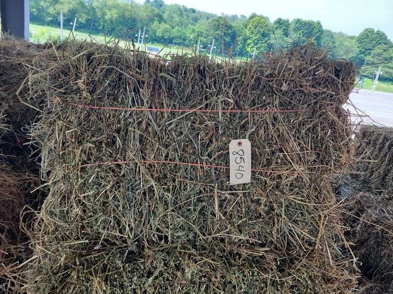 16 1st Alfalfa Orchard Timothy