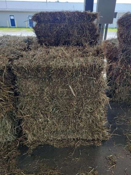 13 1st Alfalfa Timothy