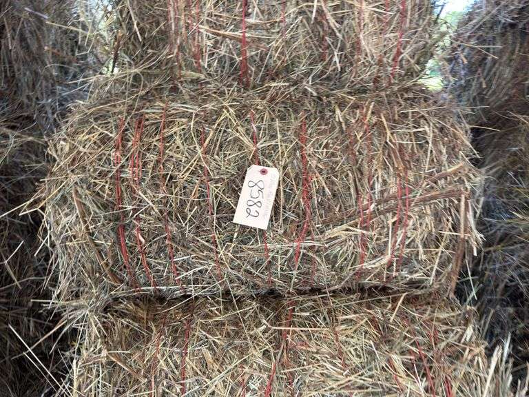 15 Mini Round Bales 1st Mix (28"x20")