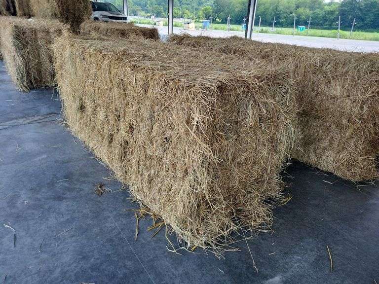 1 Large Square 1st Grass (3x3)