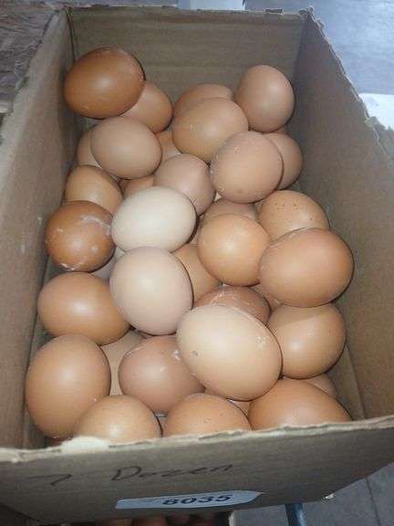 7 Doz Large Brown Eating Eggs
